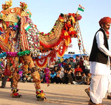 International Camel Festival